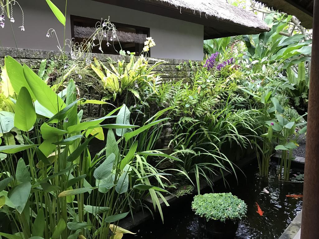 Bali Villa Aja スミニャック エクステリア 写真